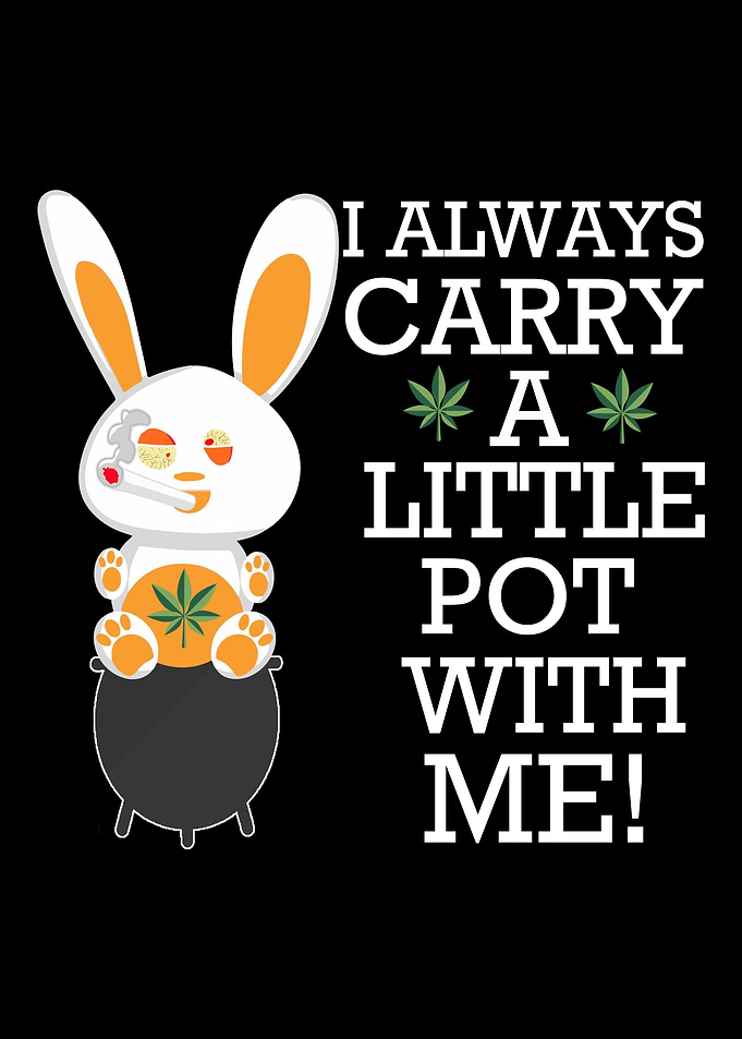 Bunny Rabbit Weed Drugs