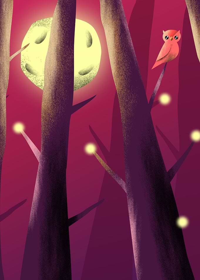 Night