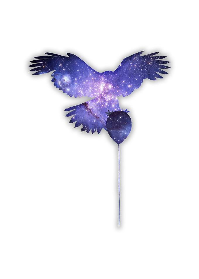 Bird Space Balloon