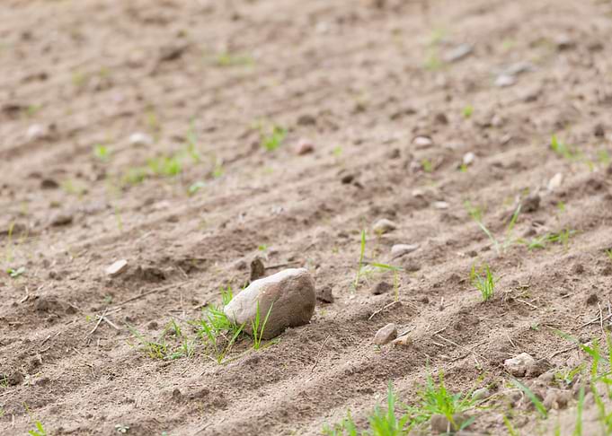 Rural Farm Agriculture Gro