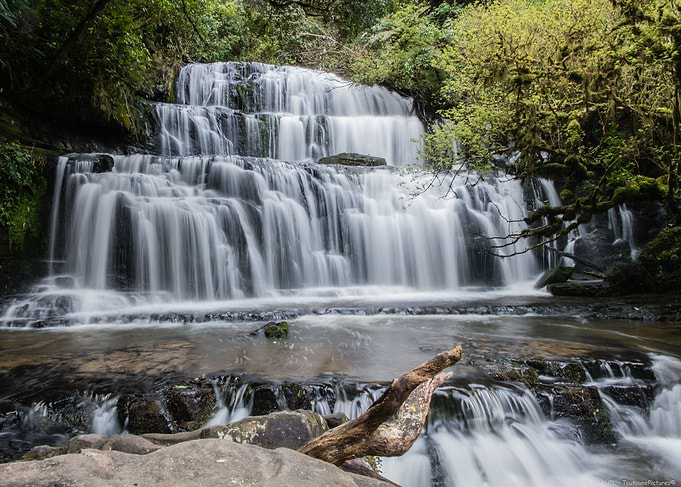Purakaunui Falls NZ