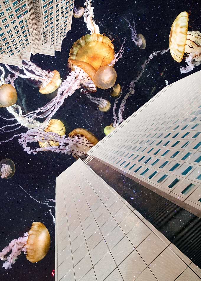 Jellyfish Sky IV