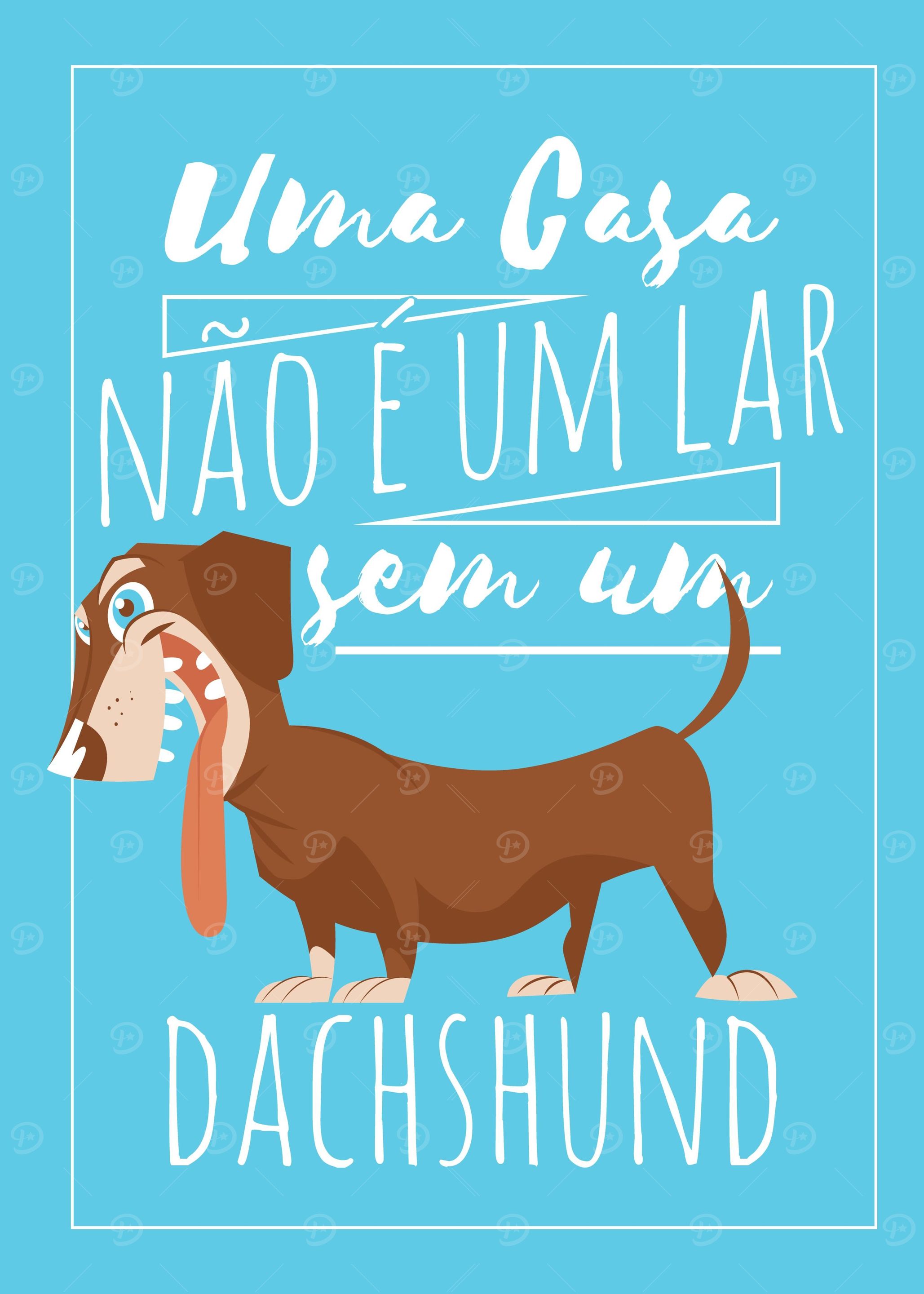 Dachshund Dachshund