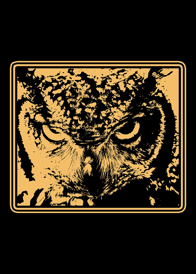 Owl Hunting