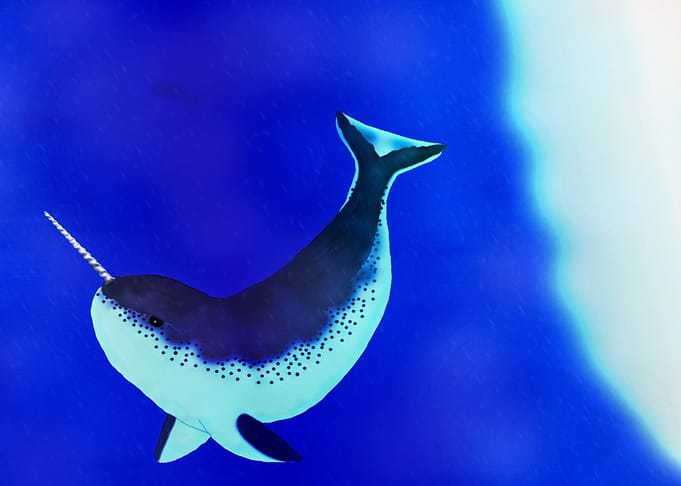 Unicorn Of the Sea