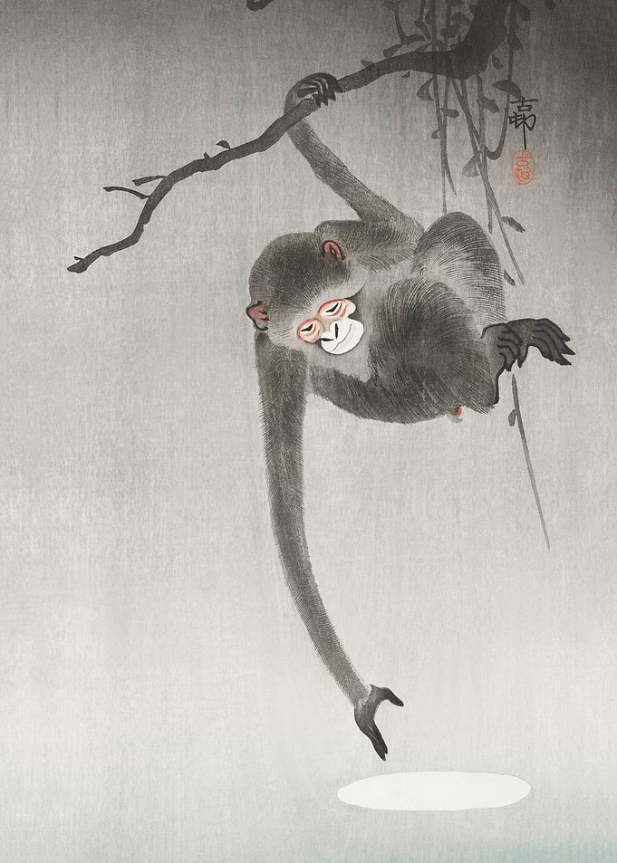 Monkey