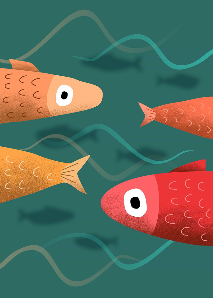 Fish