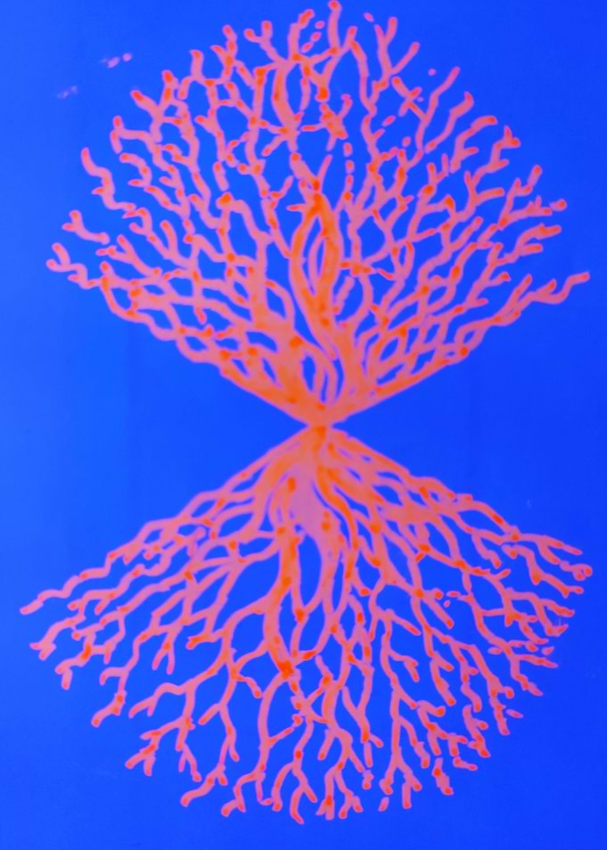 Orange big bang