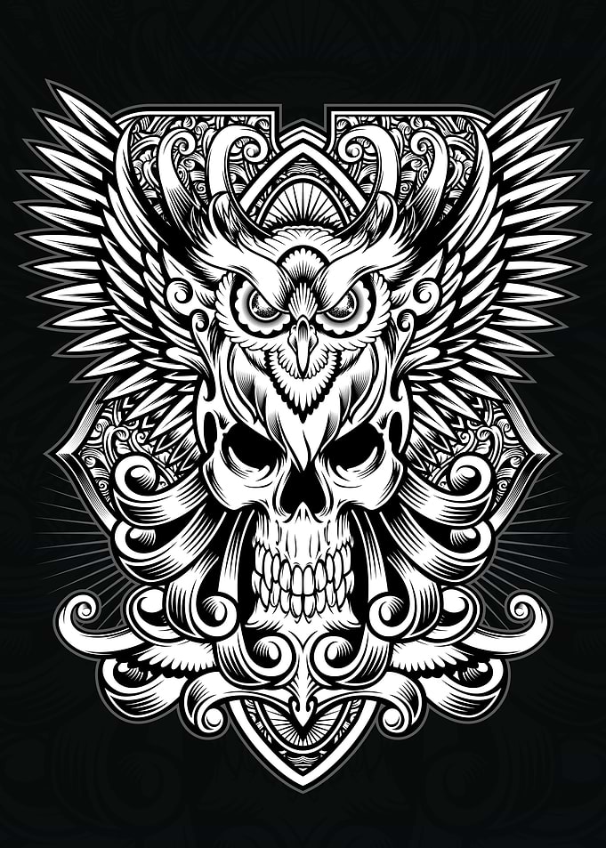 Owl and Skull