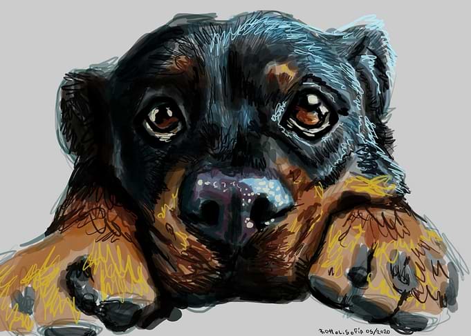 Perrito tierno