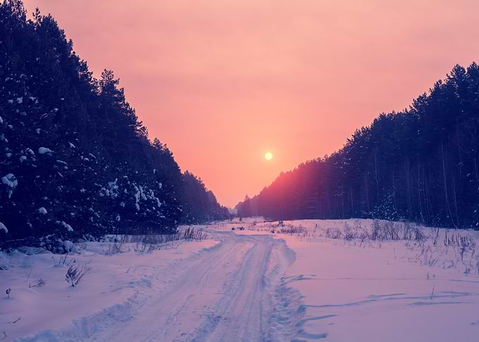 Background Beautiful Branc