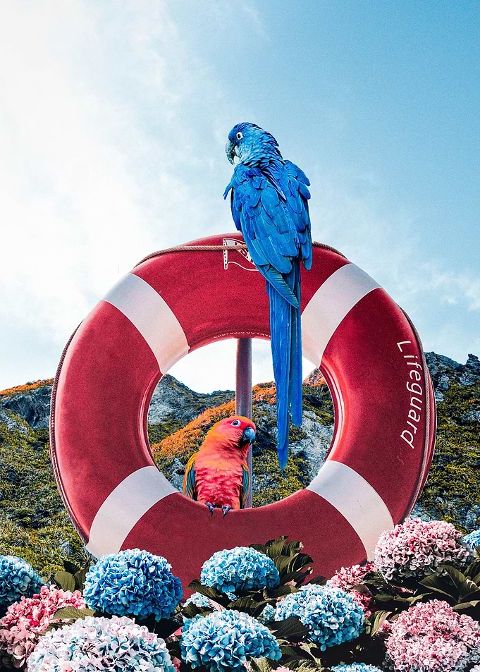 Lifeguard Spring