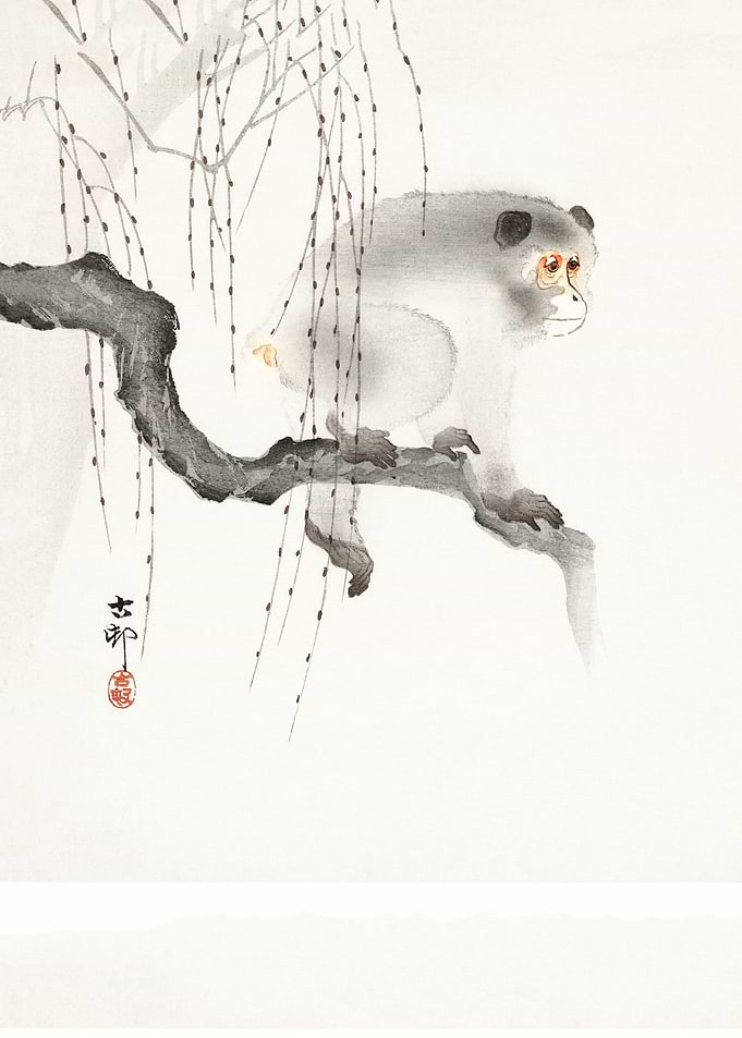 Monkey on a tree branch
