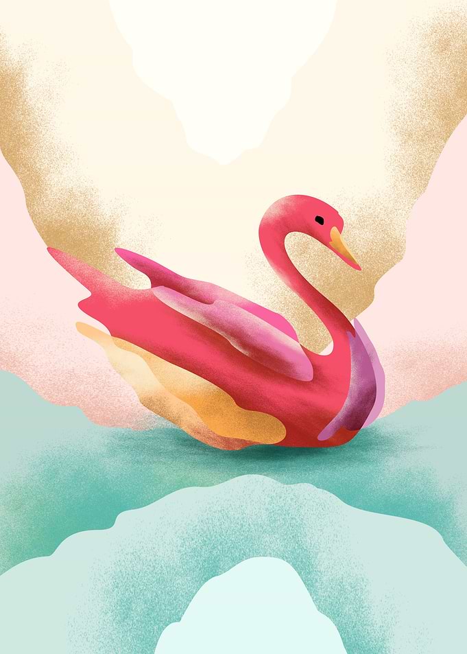 Swan Colorful