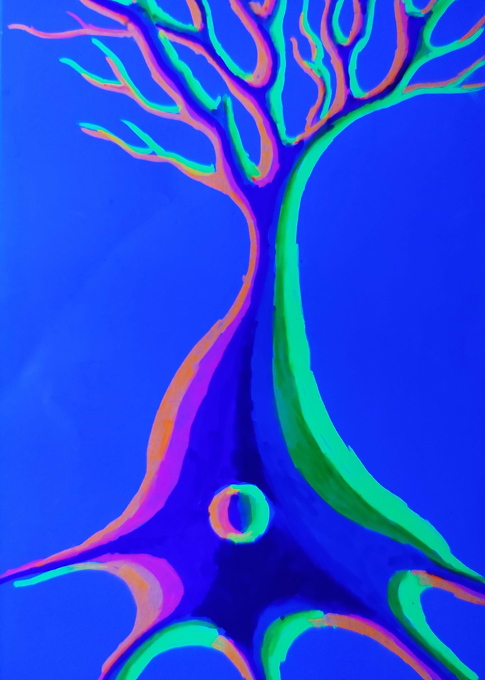 Pyramidal neuron