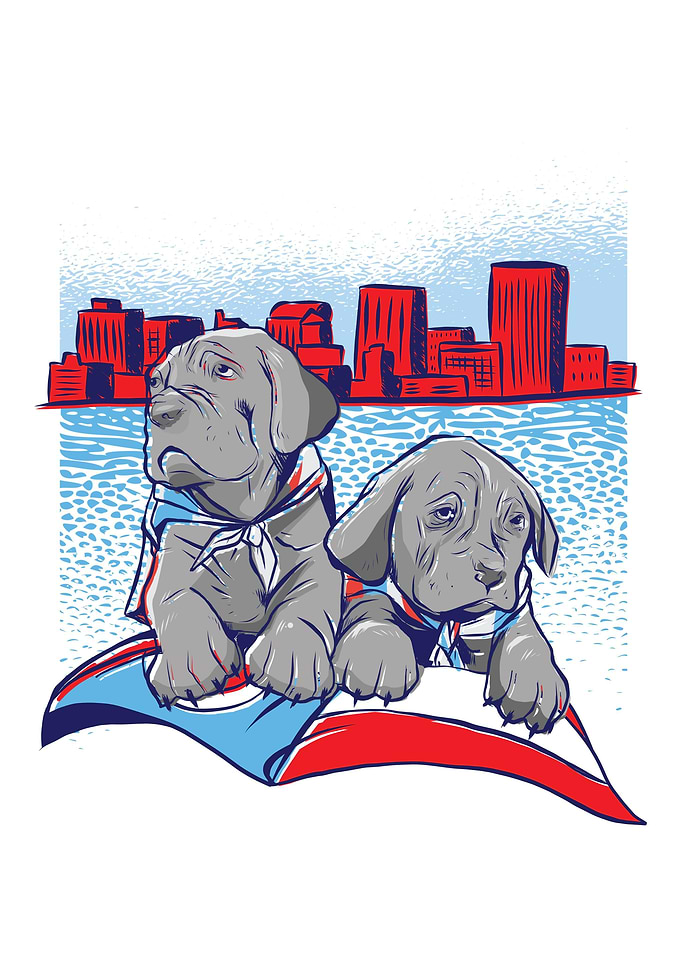 Skyline dogs Dayton Ohio