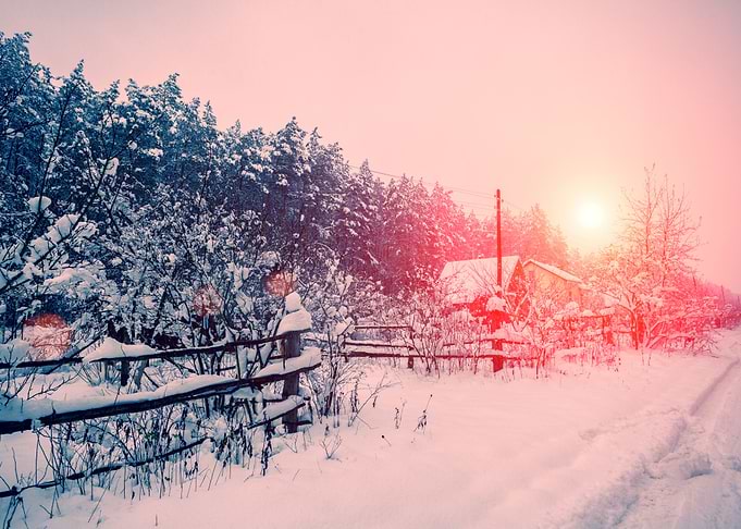 Background Beautiful Beaut