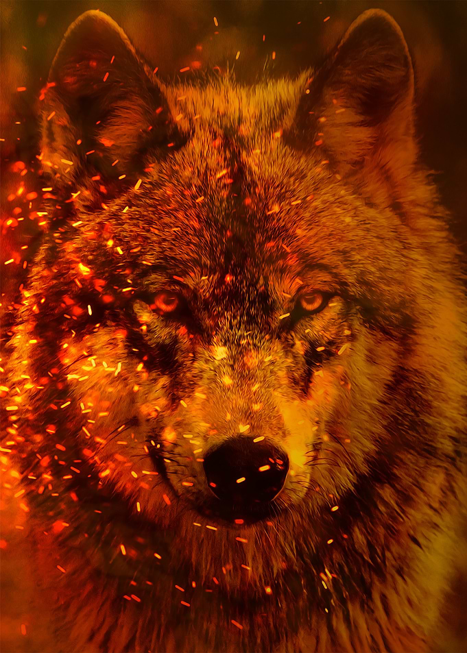 Wolf in fire and embers