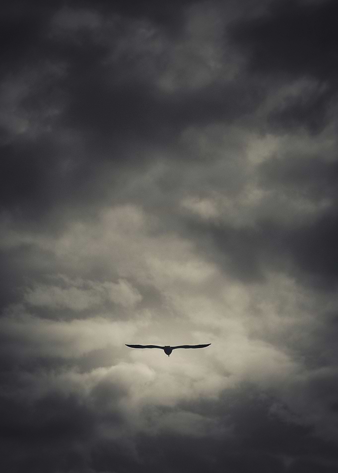 Flight