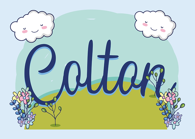COLTON Baby Name Sign Gift
