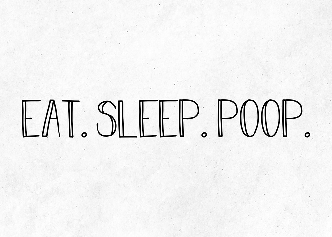 Funny Eat Sleep Poop Quote