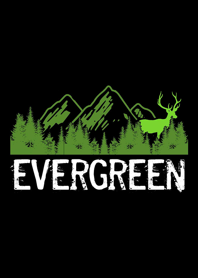 Evergreen