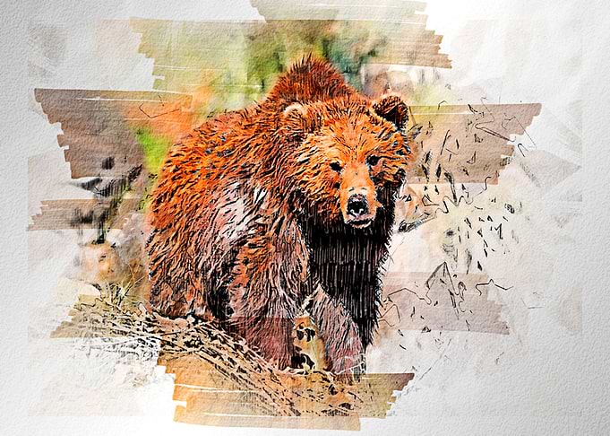 Brown bear watercolor
