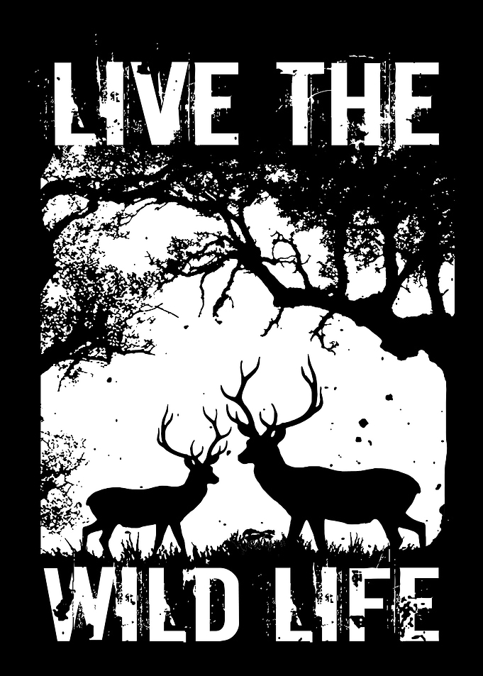 Live The Wild