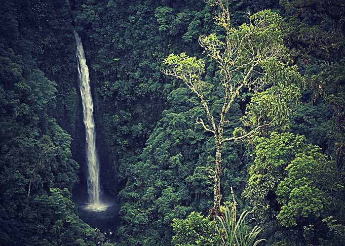 Nature water
