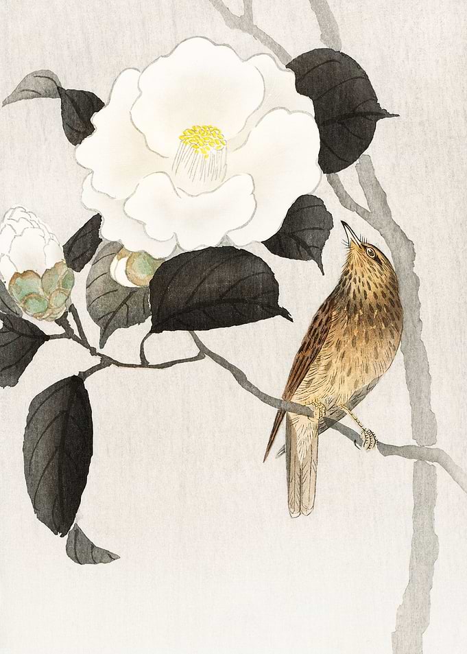 Songbird