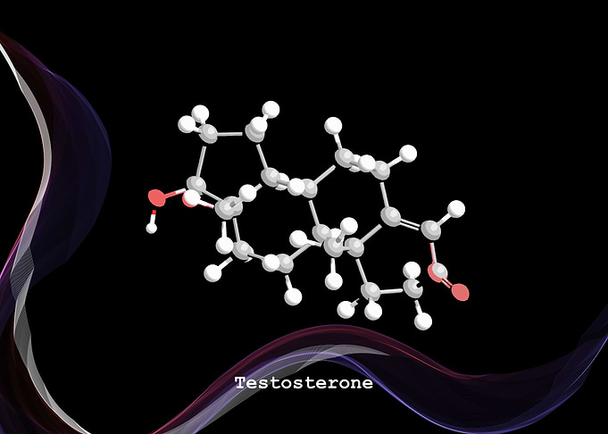 Testosterone