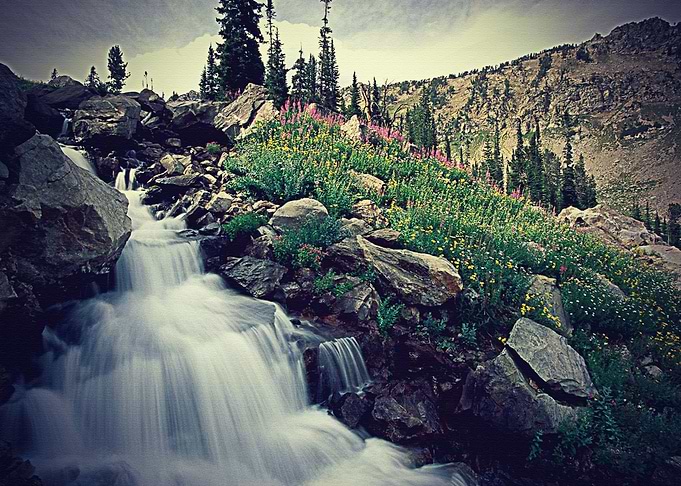 Nature water