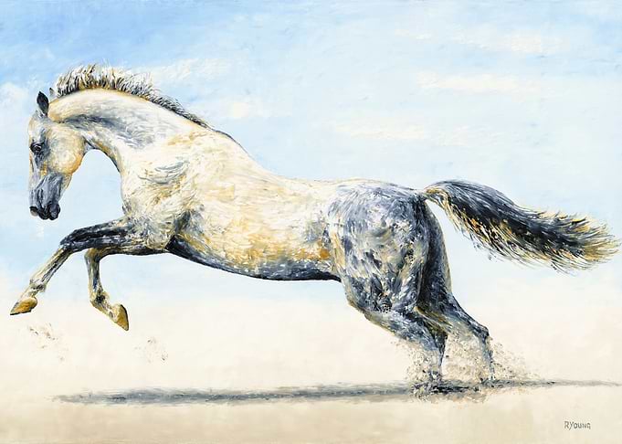 Break Free Arabian Horse