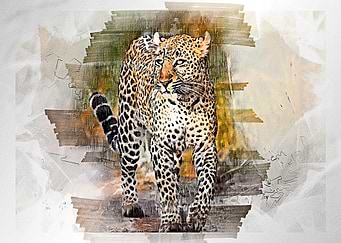 Tiger watercolor