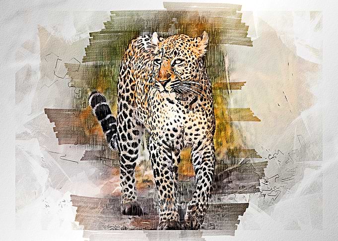 Tiger watercolor