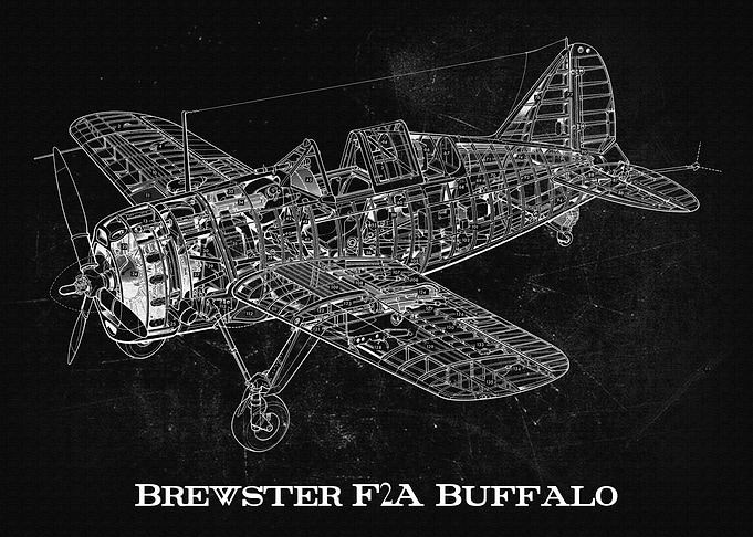 Brewster F2A Buffalo