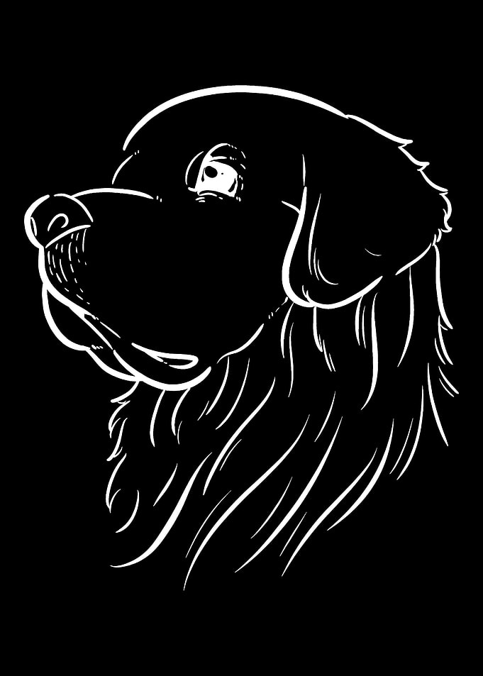 Golden Retriever Dog Lover
