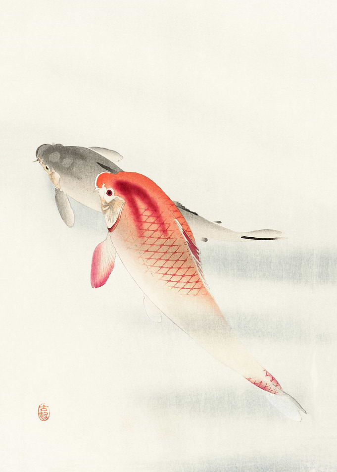 Two carp