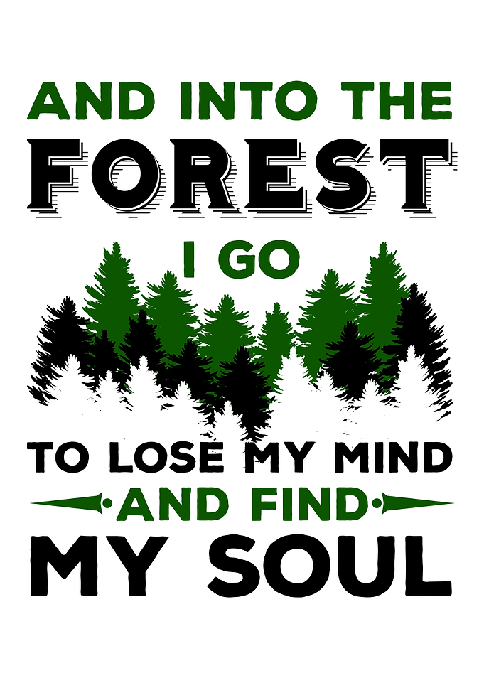 Camping Forest