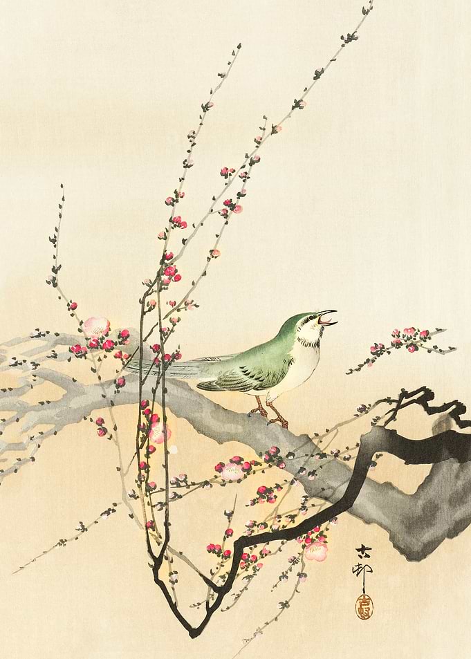 Songbird and plum blossom