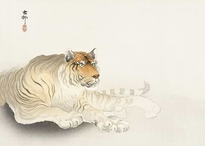 Tiger