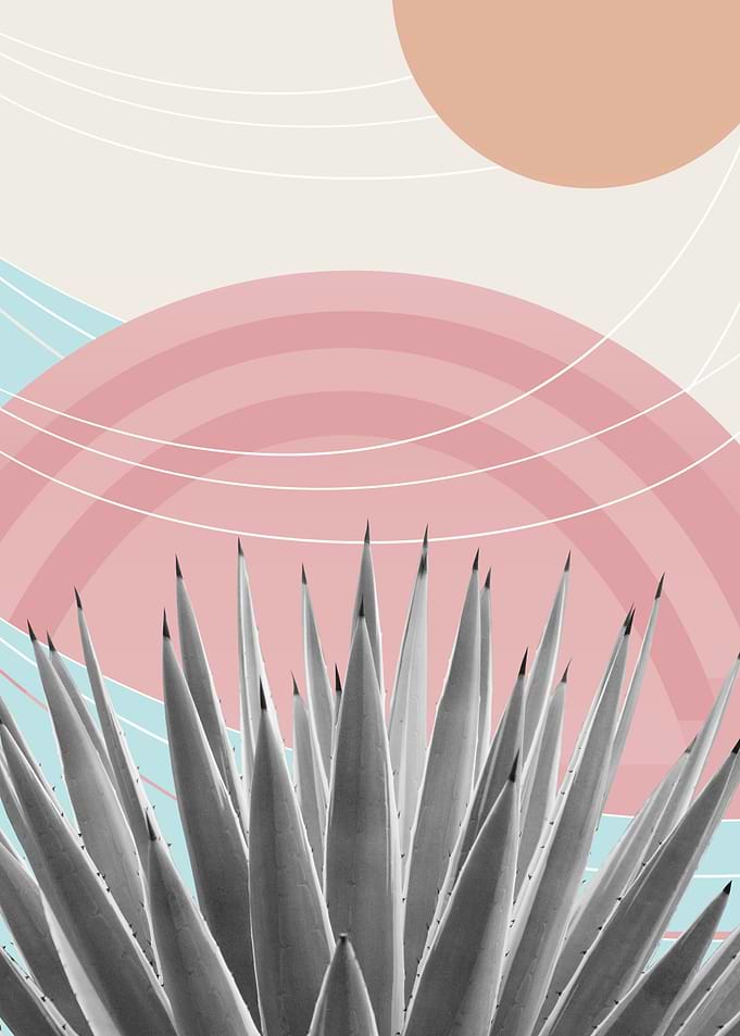 Agave Desert Oasis 4