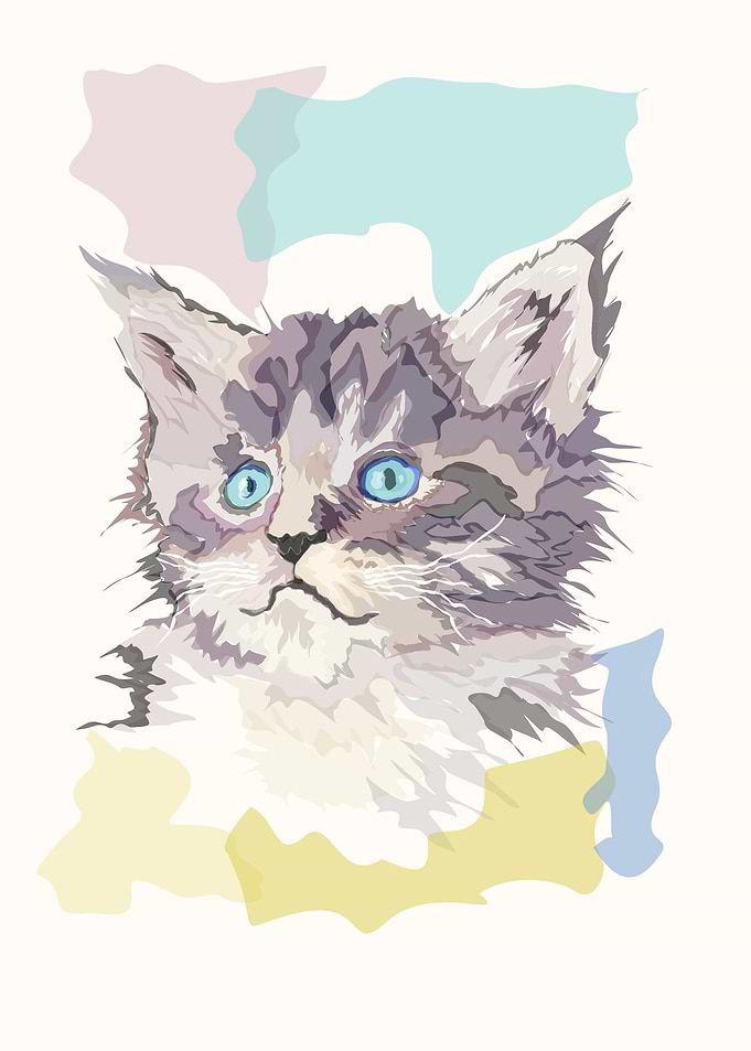 cat on abstract painting