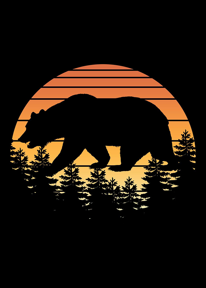 Retro Bear