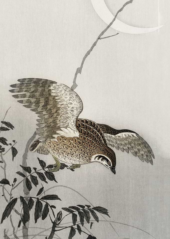 Quail at moon sickle