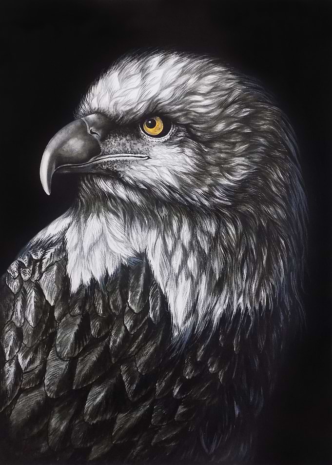 THE MAJESTIC EAGLE