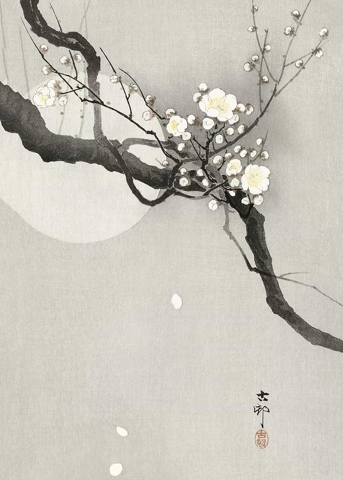 Plum blossom and full moon