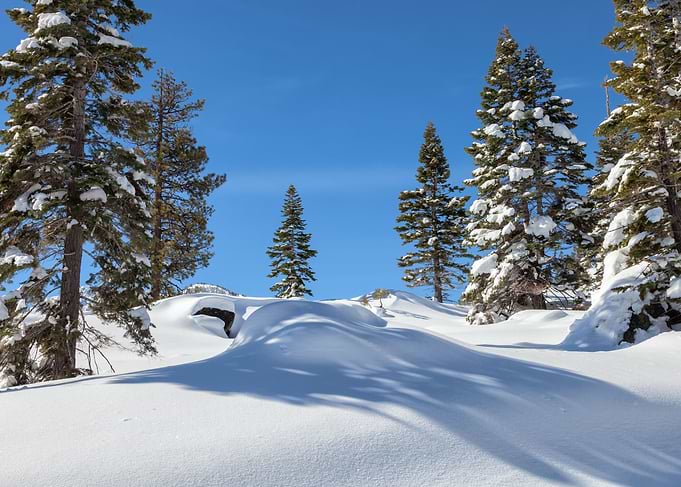 Winter Scene