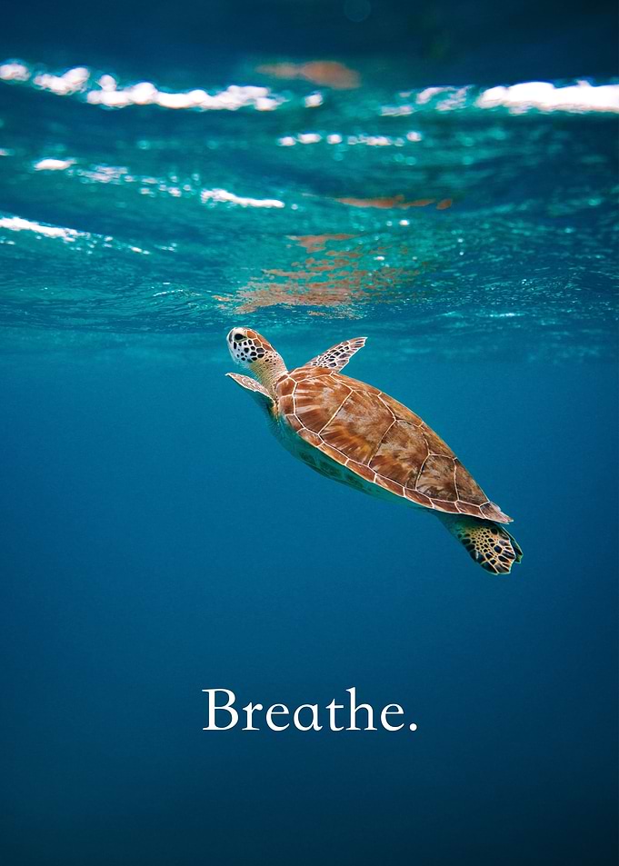 Breathe