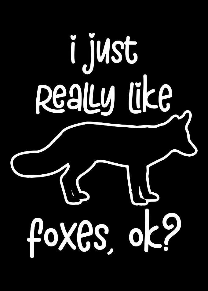 Foxes Animals Wildlife